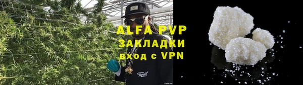 сатива Абаза