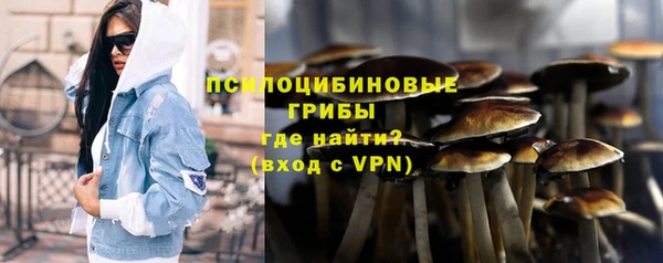 сатива Абаза