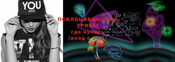 соль ск Абдулино