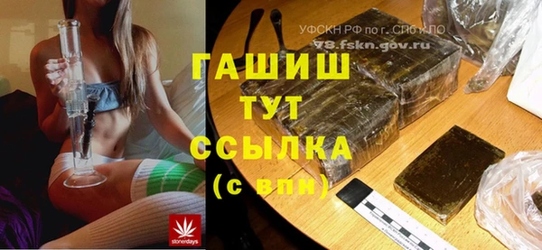 сатива Абаза